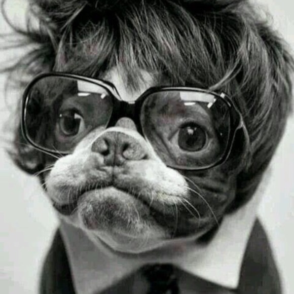 Meet your Posher, Roxanne - Picture 1 of 1